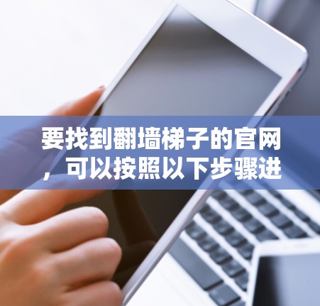 要找到翻墙梯子的官网，可以按照以下步骤进行