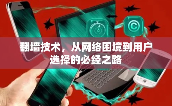 翻墙技术，从网络困境到用户选择的必经之路