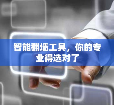 智能翻墙工具，你的专业得选对了